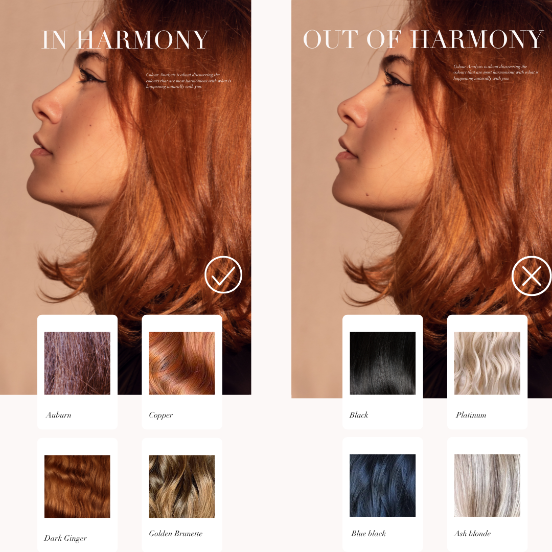 Seasonal Colour Analysis best hair colours