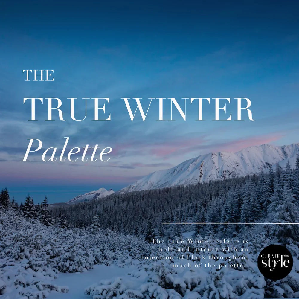 true-winter-color-palette
