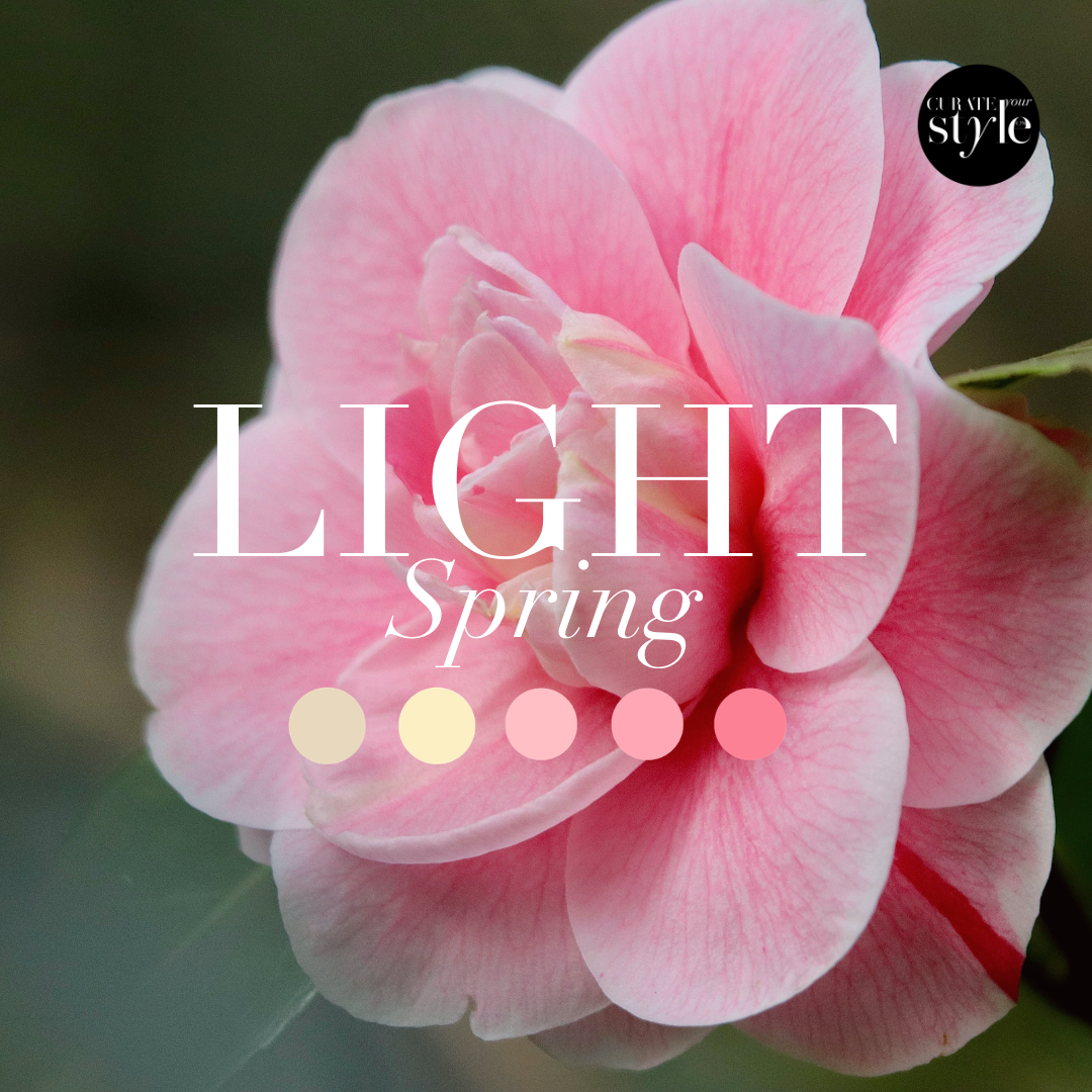 Light Spring color palette inspired by nature